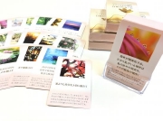 未来をつくる「フラクタル心理学 日めくりカード」